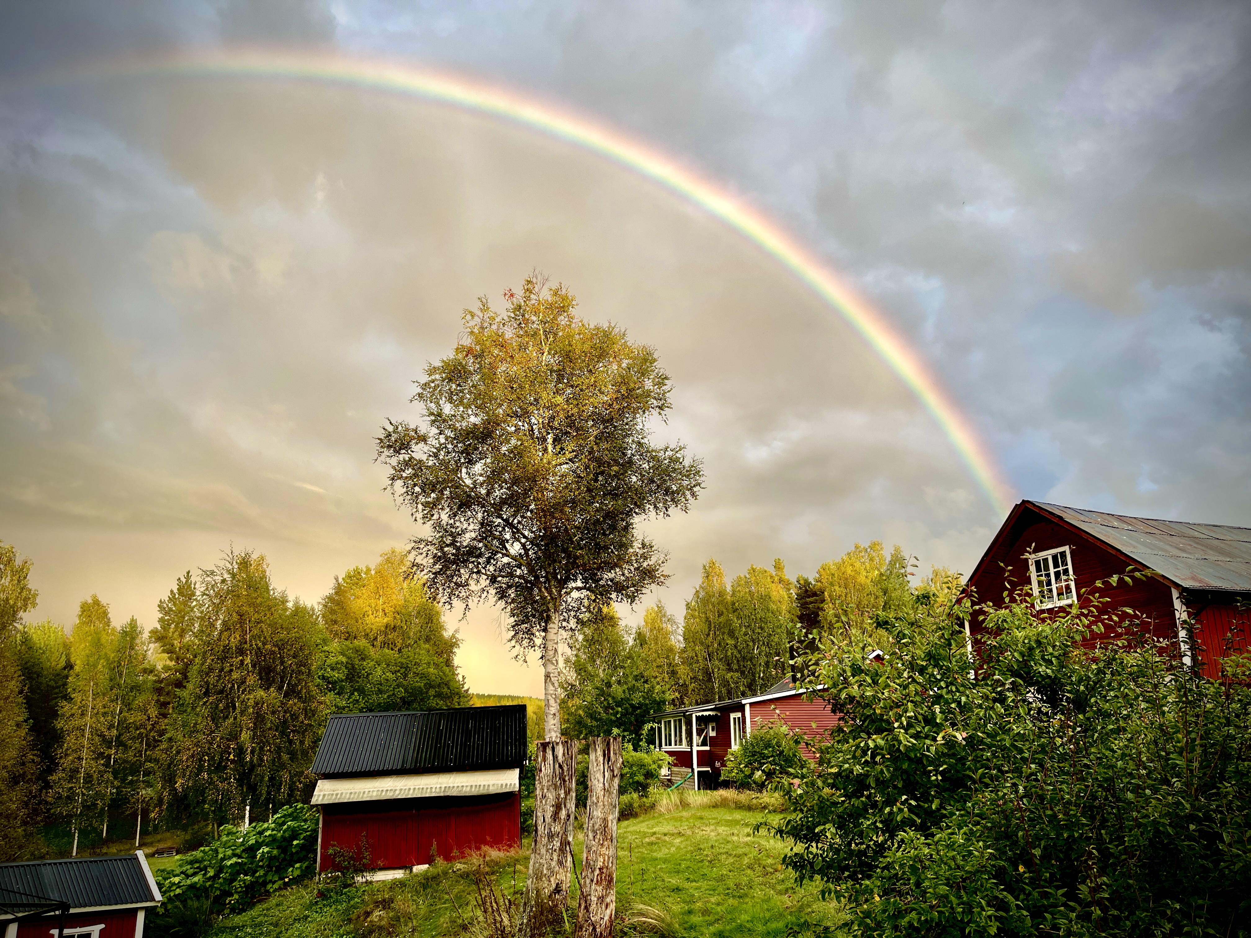 Sweden article thumbnail